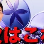 Solanaで次に期待の大型プロジェクト。Perenaがステーブルコインの流動性を解決する。