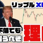 【暴落】XRP リップルついに買い場がキタ