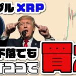 【注意】XRP リップル大暴落で最大のチャンスが来る