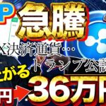 リップルが史上最高値へ！希望者全員XRPがもらえる