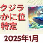 XRP クジラは 2025 年 1 月に何が起こるかを静かに準備している。彼らは間違いなく何かを知っている… #XRP！- BTC XRP #xrp #リップル #xrp リップル