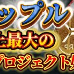❗️リップル緊急速報❗️【XRP裏プロジェクト遂に開始】