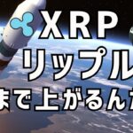 🚀XRPリップルいったいどこまで上がるんだ〜!?🚀