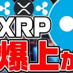 【XRP（リップル）爆上げ‼】最高値更新‼億り人も続出か⁉今後〇〇倍に‼まだまだ年内に稼げるぞ‼【仮想通貨】
