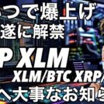 XRP XLM 本日解禁リップルRLUSD よし！行こうぜ！ビットコイン頼む　皆様へ大事なお知らせ