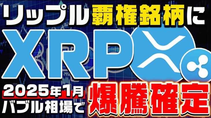 【リップル(XRP)】年末年始の急騰までカウントダウン開始！今月ついにその他アルトコインを抑えて取引量1位に君臨！なぜクジラ達はXRPに注目するのか【仮想通貨】【ビットコイン】【BTC】