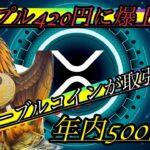 リップルXRP420円突破】ステーブルコイン取引開始で世界共通通貨の道ができました！仮想通貨ビットコインもマイクロストラテジーが買って爆上げ！イーサリアムも高値更新！ステーキ弁当を食べながら語る！猫