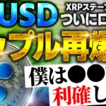 ※リップル(XRP)が年内に超特大爆騰の可能性！リップルのステーブルコインRLUSD発行までに○○をして爆上げに備えろ!!【仮想通貨】