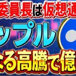 【リップル(XRP)】強気相場はまだ続く！仮想通貨賛成派のSEC委員長就任でさらに暴騰か!?【暗号資産】【最新情報】