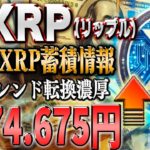 リップル最新！７倍に！？大口投資家がXRPを大量蓄積！２倍確定の最強ミームコイン紹介！【仮想通貨】【シバコイン】【イーロンマスク】【ビットコイン】【SHIB】【XRP】【DOGE】【リップル】