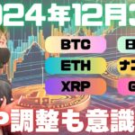 リップルXRP本日も上昇・・！しかし、大幅調整も意識すべき段階かもしれない【投資VLOG】