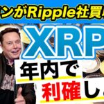 【XRP爆上げ】リップルが６年ぶり￥４００突破！年末までに特大高騰の予感😄【X決済通貨採用】