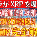 【XRPの調整はもうすぐ終わる】クジラがXRPを爆買い！2025年にXRPは1500円を超える！【仮想通貨】【BTC】【ビットコイン】【SHIB】【リップル】