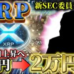 【X決済/リップル】※仮想通貨肯定派がSEC委員長に就任※ やはりXデーは1月20日か⁉#xrp #リップル