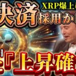 【X決済/リップル】※X決済採用に大手※ 12月4日ステーブルコインローンチ!! #xrp #リップル
