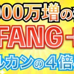 【新nisa】No.1リターンFANG＋の運用方法。これで3000万増を狙える！