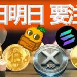 バブル終わり時期の目安 リップルステーブルコイン開始