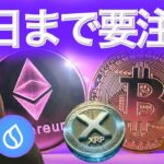 ソラナ上昇パターンを繰り返すか リップルステーブルコインに驚愕