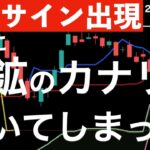 【天井サイン出現】ついに炭鉱のカナリアが鳴いてしまった？