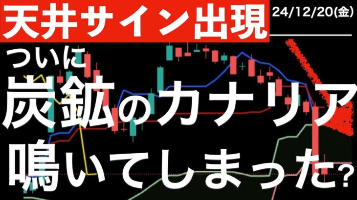 【天井サイン出現】ついに炭鉱のカナリアが鳴いてしまった？