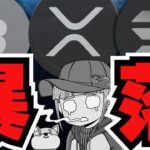 【💀暴落】仮想通貨さらに下落！だが全然余裕な理由とは？／ビットコインハードフォークの可能性？🔰はーどふぉーくって何？／ヘデラに注目している理由／魔界はなぜか上昇！えっ？