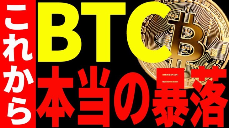 【仮想通貨】ビットコイン本当の暴落はこれから⁉︎今後の最新分析を共有！絶対見て！