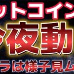 ビットコイン今夜に動く。クジラはまだ売却せずに様子見ムード？？