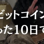 勢いで買ったビットコインがヤバいことになっとる