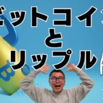 😱ビットコイン・リップル調整局面か！？😱