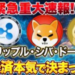 🚨緊急🚨ガチでx決済通貨が決まりました！！リップルとドージの保有者は必ず見て！！！