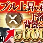 【リップル下落】その理由をこの動画で説明します！#xrp  #ビットコイン #crypto #暗号通貨