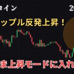 1/2 仮想通貨相場分析 やっときた上昇！リップルこのままいけるか？他の通貨は？
