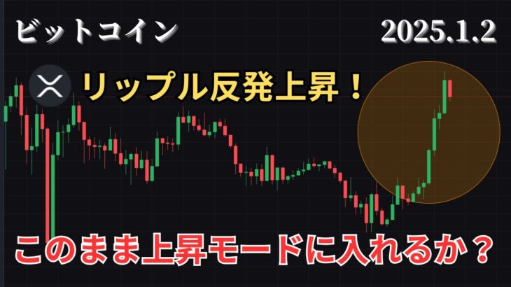 1/2 仮想通貨相場分析 やっときた上昇！リップルこのままいけるか？他の通貨は？