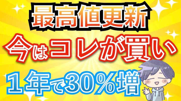 【黄金タイム】コレなら1年で+30％のリターンが狙える！(新nisa)