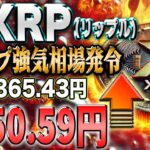 リップル最新！13倍への挑戦か！トランプ大統領ついに始動！！【仮想通貨】【シバコイン】【イーロンマスク】【ビットコイン】【SHIB】【XRP】【DOGE】【リップル】