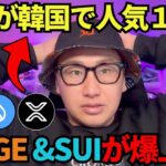 リップルが韓国で人気1位に🇰🇷🔥DOGE &SUIが爆上げのアルトコイン2025年！