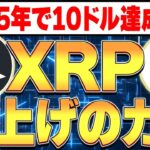 2025年に10ドル達成か！？🚀XRP爆上がりのカギは〇〇🔑【リップル】【仮想通貨バブル】【BTC】【ビットコイン】【ETH】【イーサリアム】【SOL】【Solana/ソラナ】【RLUSD】