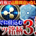 【仮想通貨バブル】2025年2月までに仕込みたい！トランプ政権で高騰間違いなしの激アツ銘柄3選を徹底解説【リップル】【XRP】
