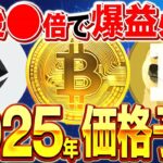 2025年ビットコイン、イーサリアム、ドージの価格予想!!資産○倍の上昇根拠を解説【BTC】【ETH】【DOGE】【仮想通貨】