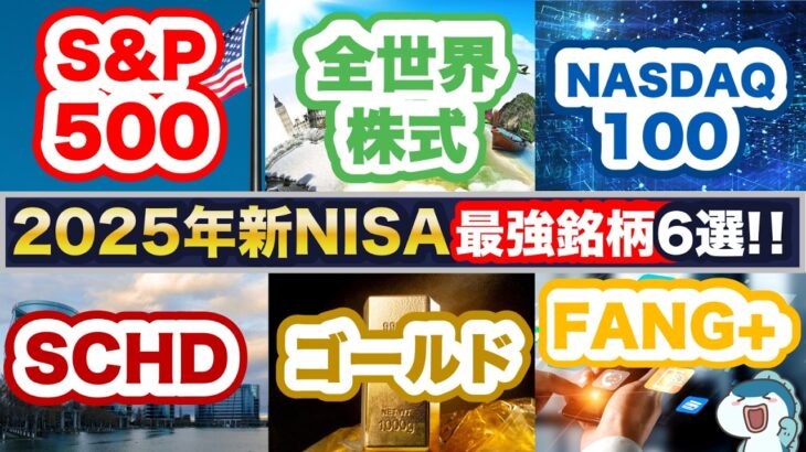 2025年の新NISAで最強鉄板銘柄はこれ！SCHD vs S&P500 vs オルカン vs FANG+ vs NASDAQ100 vs ゴールド！