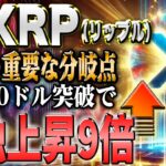リップル最新！９が倍か否か！重要ポイント解説！2025年勝ち確定コインプレセール終了間近！！【仮想通貨】【シバコイン】【イーロンマスク】【ビットコイン】【SHIB】【XRP】【DOGE】【リップル】