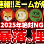※仮想通貨初心者必見!! ミームコインは稼げる？2025年最新の儲かる投資方法と大損する落とし穴！トランプ(TRUMP)コインを無料で獲得する方法も教えます！【SWELL(スウェル)】【リップル】