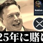 【2025年スタート】ビットコインの取引量を超えるリップルXRP。イーロンマスクKEKIUS暴騰。VC注目カテゴリーAIエージェント DeFi ステーブル等。年始のイーサリアムアルト暗号資産事情
