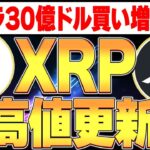 クジラが30億ドル買い増し🚀XRP最高値更新は間も無くか！？🤩【リップル】【仮想通貨バブル】【BTC】【ビットコイン】【ETH】【イーサリアム】【SOL】【Solanaソラナ】【SUI】