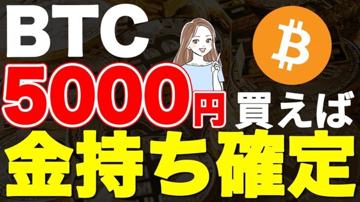 ビットコイン5000円分買えばお金持ち確定です【仮想通貨/0.1BTC】