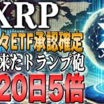 リップル最新！5倍は本当に堅いです！社長発言「ETF承認が確定です」【ビットコイン】【イーサリアム】【シバコイン】【shib】【ドージ】【リップル】【XRP】【doge】【仮想通貨】