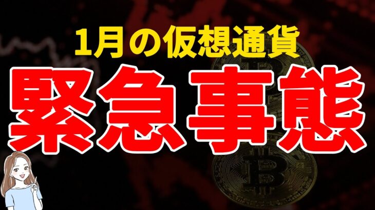 【衝撃の事実】これマジ？過去のBTCのデータを分析した結果からとんでもないことが判明