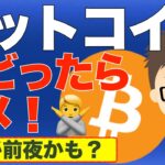 ビットコイン（BTC）ビビったらダメ！今日が前夜かも？〜常にシートベルト締めて備える！