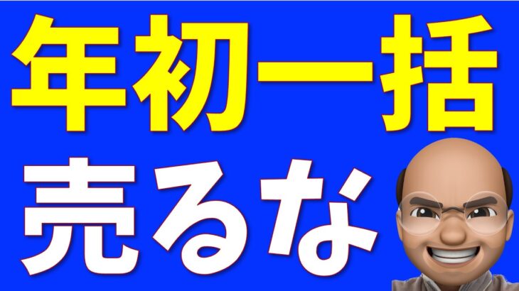 新NISA年初一括して後悔してる人へ【STOP、NISA損切り】