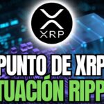 RIPPLE XRP⚠️EN ESTE PUNTO SE ENCUENTRA XRP🚨LA SITUACIÓN ACTUAL DE RIPPLE